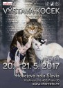 Mezinárodní výstava koček Star Cats 2017 
