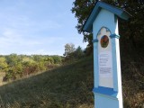 Pomník hořci jarnímu (foto ČSOP)