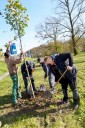 Nadace ČEZ: Grant na sázení stromů si letos mohou podat i spolky
